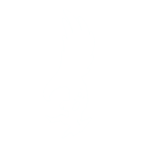 terrayazilim_beyaz_logo